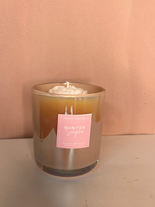 14 oz Lux Winter Sangria Scented Candle